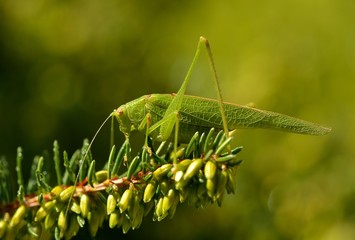 Les belles journées d'automne