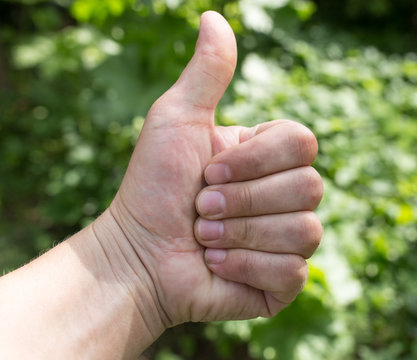 hand man thumbs up outdoors
