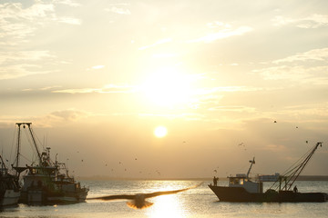 Fototapeta premium Fishing boats in the fishing town in Bulgaria.