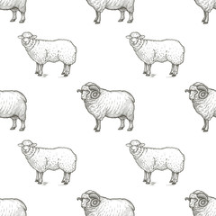 Rams. Seamless vector pattern with animals. Black and white illustration.
