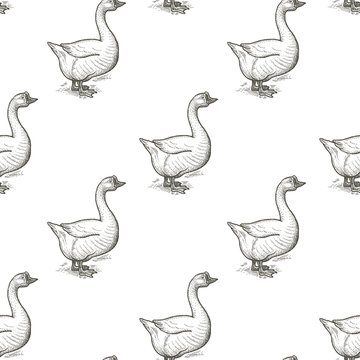 Geese birds. Seamless vector pattern. Black and white illustration.
