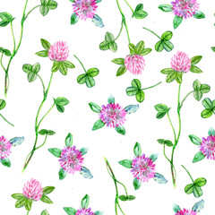 Red clover, shamrock wild field flower hand drawn colorful illustration isolated on white, Seamless pattern, decorative floral texture background for cosmetic, design package tea, textile, wallpaper
