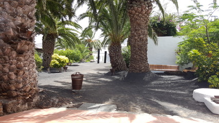 Beautiful garden with black sand and white house on the Canary Island of Lanzarote