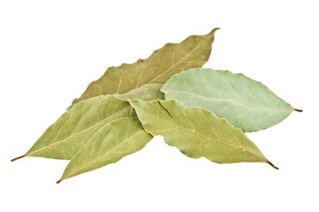 Obraz premium Dried bay laurel leaves isolated on a white background close up