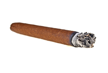 Burning brown cigar isolated on a white background