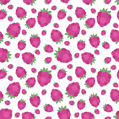 Raspberries seamless pattern. Vector illustration.