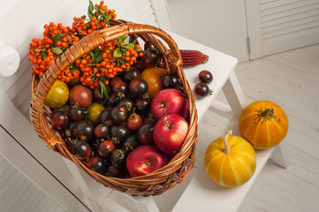 Thanksgiving set of fruits and vegetables