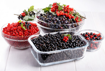 Black gooseberries blackcurrants and redcurrants.