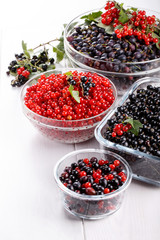 Black gooseberries blackcurrants and redcurrants.