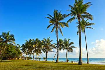 Picturesque coast Diani