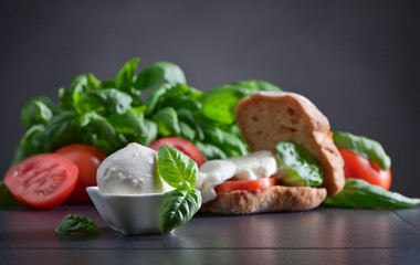  mozzarella with tomato and basil