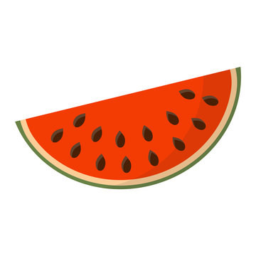 Watermelon slice vector illustration.