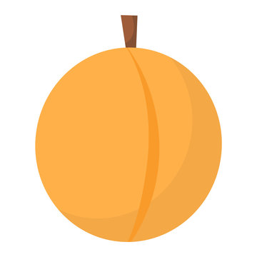 peach isolated vector illustration.