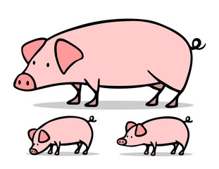 Sau und Ferkel als Schweine Familie