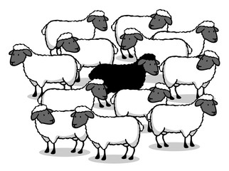 Schwarzes Schaf in einer Herde Schafe