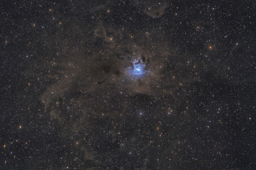 Irisnebel / Iris Nebula, NGC 7023