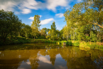 Fototapeta na wymiar A small pond in the summer landscape. Czech republic.