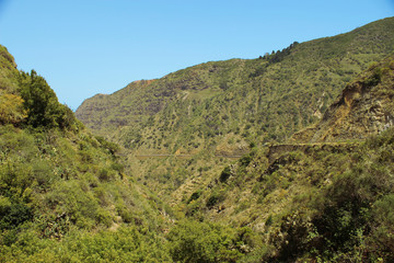 Fototapeta na wymiar Parque Nacional de Garajonay, La Gomera