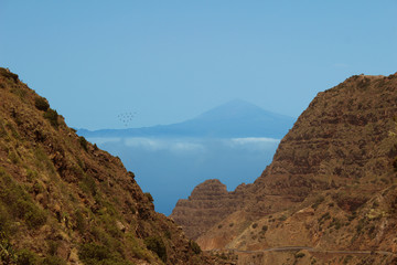 Parque Nacional de Garajonay, La Gomera