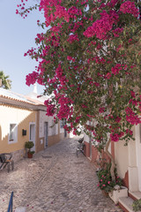 Old street with flowers in Ferragudo Algarve, Portugal
