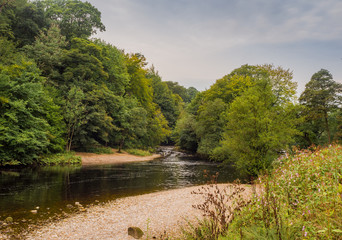 The river wharfe at Bolton Abbey, Skipton, Yorkshire, UK