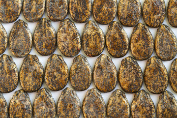 Rows of dark watermelon seeds on the light background. Closeup