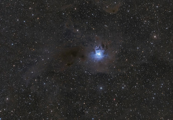 Irisnebel / Iris Nebula, NGC 7023