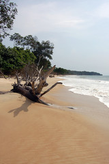 Plage du gabon