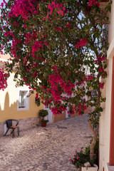 Old street with flowers in Ferragudo Algarve, Portugal