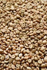 Close up of coffee beans for background