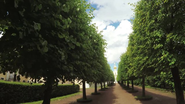 Alley in the Park in Peterhof