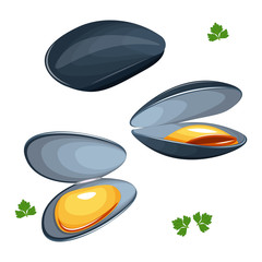 mussels vector illustration isolated on white background