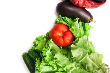 Fresh organic vegetables. Autumn vegetables. Harvesting. Ingredients for the salad. Lettuce, tomatoes, cucumbers, zucchini, eggplant, peppers, chillies. Advertising Space.