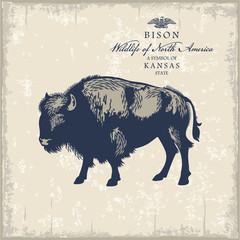 Бизон, символ штата Канзас, животное Северной Америки, винтаж