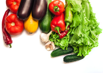 Fresh organic vegetables. Autumn vegetables. Harvesting. Ingredients for the salad. Lettuce, tomatoes, cucumbers, zucchini, eggplant, peppers, chillies. Advertising Space.