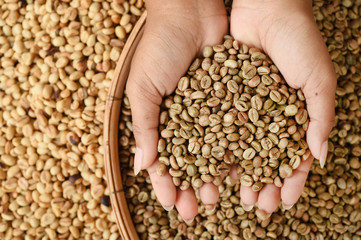 Close up of coffee beans on hand