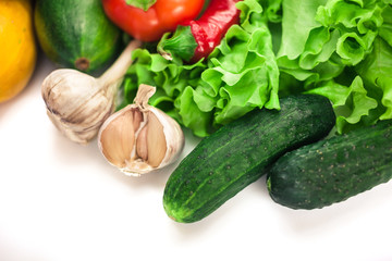 Fresh organic vegetables. Autumn vegetables. Harvesting. Ingredients for the salad. Lettuce, tomatoes, cucumbers, zucchini, eggplant, peppers, chillies. Advertising Space.