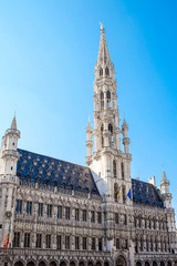 Fototapeta na wymiar The Grand Place is the central square of Brussels. It is surrounded by opulent guildhalls and two larger edifices, the city's Town Hall, and the Breadhouse