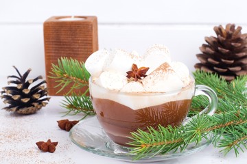 Winter hot drink. Christmas hot cocoa with marshmallow and spices