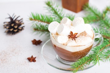 Winter hot drink. Christmas hot cocoa with marshmallow and spices