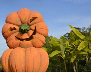 Zucca Gigante