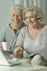 Senior couple  with laptop