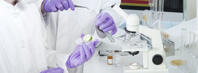 Banner Laboranten untersuchen Probe von Genfood Gurke