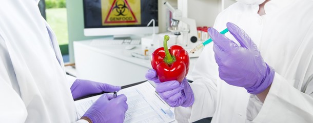 Banner Gentechniker untersuchen Genfood Paprika im Labor