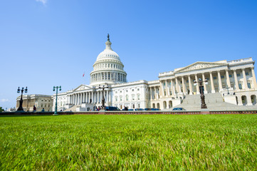 Fototapeta na wymiar Capitol Building Washington DC USA scenic view with green grass summer lawn 