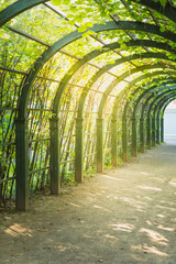 scenic artificial arc in park