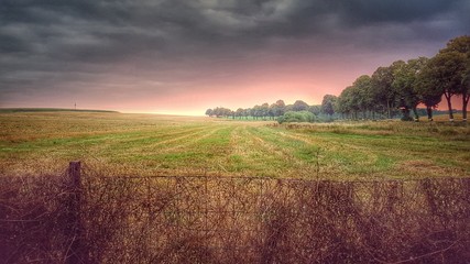 Obraz premium Sommermorgen 