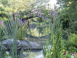 Gapstow bridge Central Park, New York City