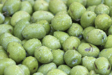 The freshly picked olives