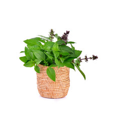 Naklejka premium Sweet Basil on white background